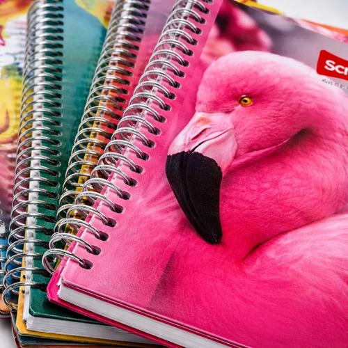 Paquete 36 Cuadernos Profesionales Scribe Mega Plus 100 Hoja Raya