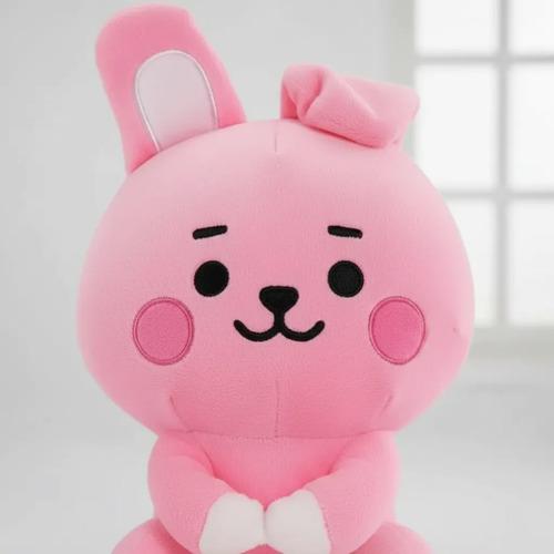 Peluche Bt21 Bts Kpop Coleccionables COOKY