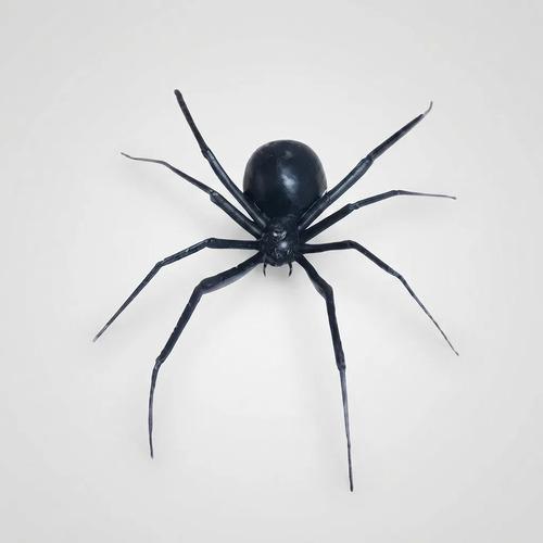 Paquete De Arañas Halloween Negras, 12 Pzs 25 Cm