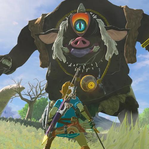 The Legend Of Zelda Breath Of The Wild Nintendo Switch 2