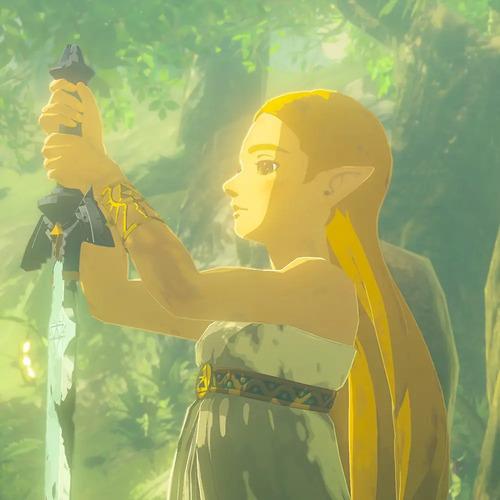 The Legend Of Zelda Breath Of The Wild Nintendo Switch 2