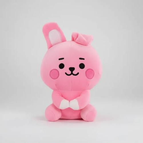 Peluche Bt21 Bts Kpop Coleccionables COOKY