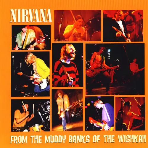 Nirvana From The Muddy Banks Of The Wishkah Álbum CD Rock